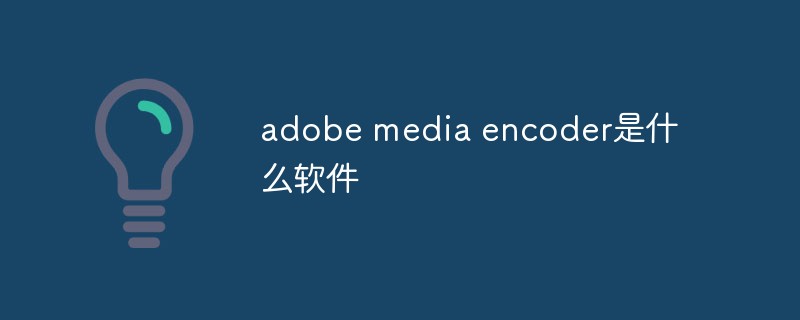 adobe media encoder是什么样的软件