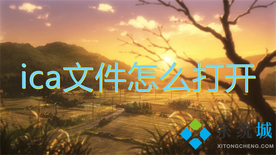ica文件怎么打开 ica文件用什么程序打开