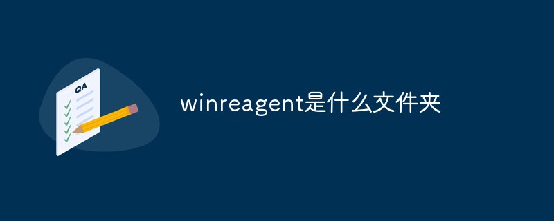 winreagent是什么文件夹