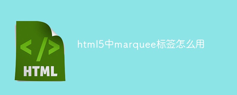 html5中marquee标签怎么用-站长资讯网