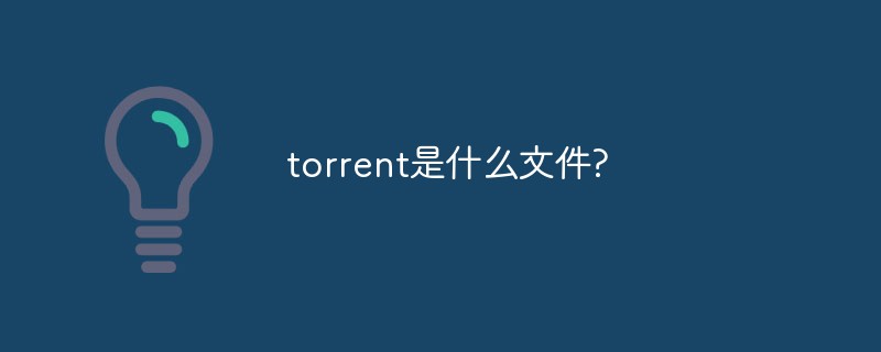 torrent是什么文件?