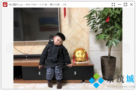 heic格式电脑怎么查看 heic文件怎么转换成jpg