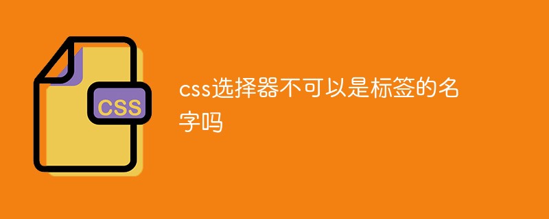 css选择器不可以是标签的名字吗