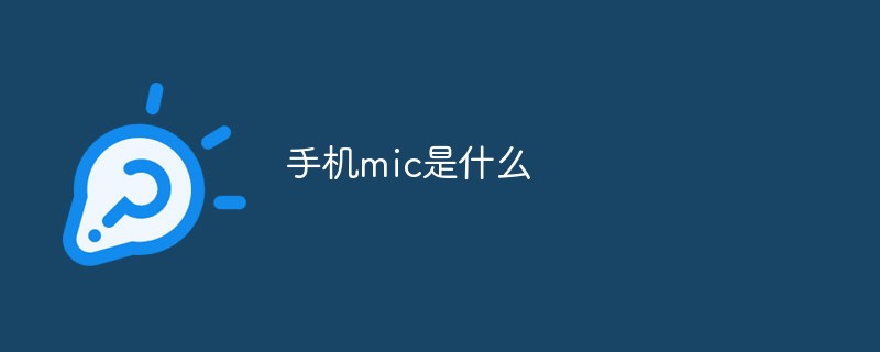 手机mic是什么