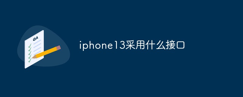 iphone13采用什么接口