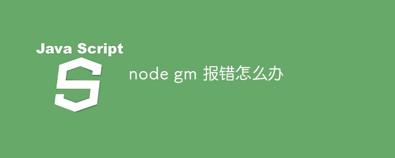 node gm 报错怎么办