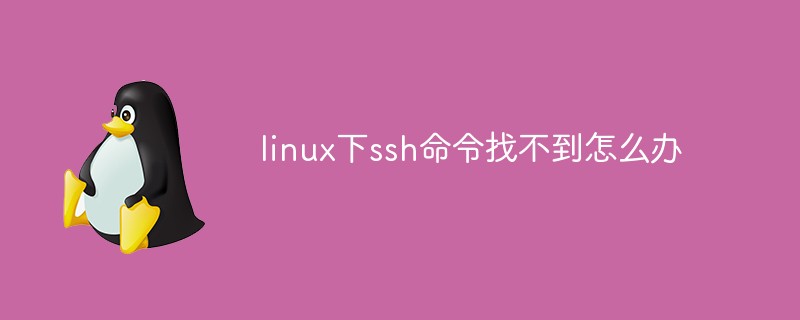 linux下ssh命令找不到怎么办