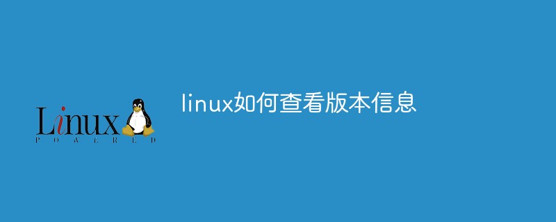 linux如何查看版本信息
