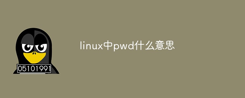 linux中pwd什么意思-站长资讯网