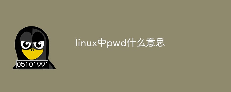 linux中pwd什么意思