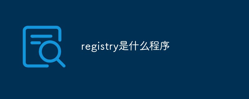 registry是什么程序
