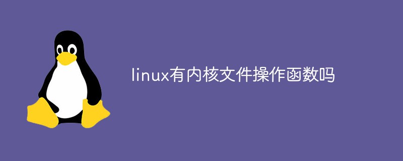 linux有内核文件操作函数吗