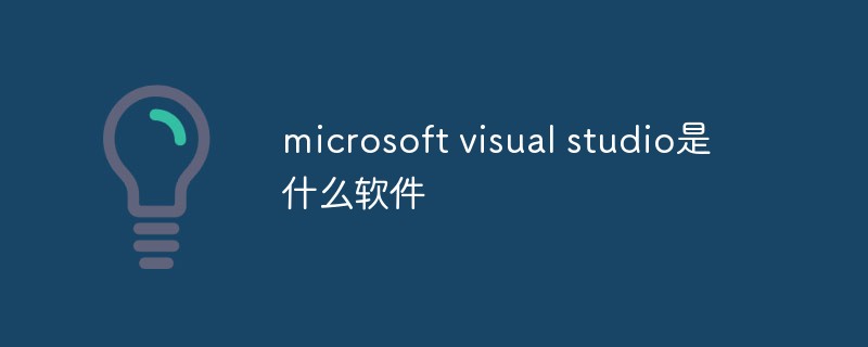microsoft visual studio是什么软件