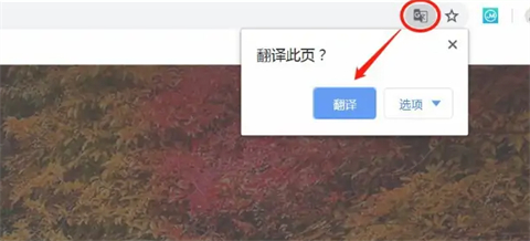 谷歌浏览器翻译在哪 谷歌浏览器翻译网页功能在哪里设置