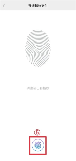 微信支付怎么设置指纹支付 微信指纹支付在哪里设置
