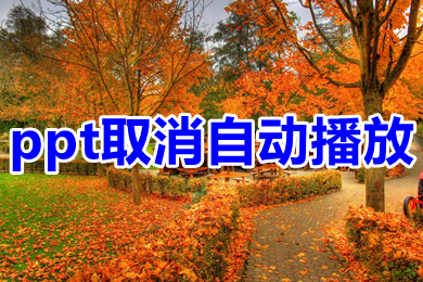 ppt取消自动播放 ppt关闭自动播放的方法