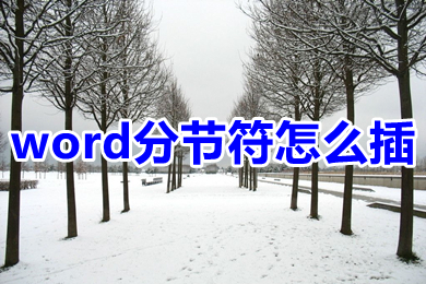 word分节符怎么插 word分节符怎么加入