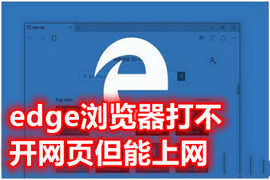 edge浏览器打不开网页但能上网 为什么edge浏览器打不开网页