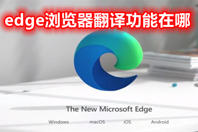 edge浏览器翻译功能在哪 edge浏览器自动翻译怎么打开