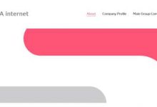 便宜高速稳定日本vps服务器推荐 搭建tiktok环境-站长资讯网