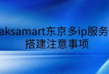 raksamart东京多ip服务器搭建注意事项-站长资讯网